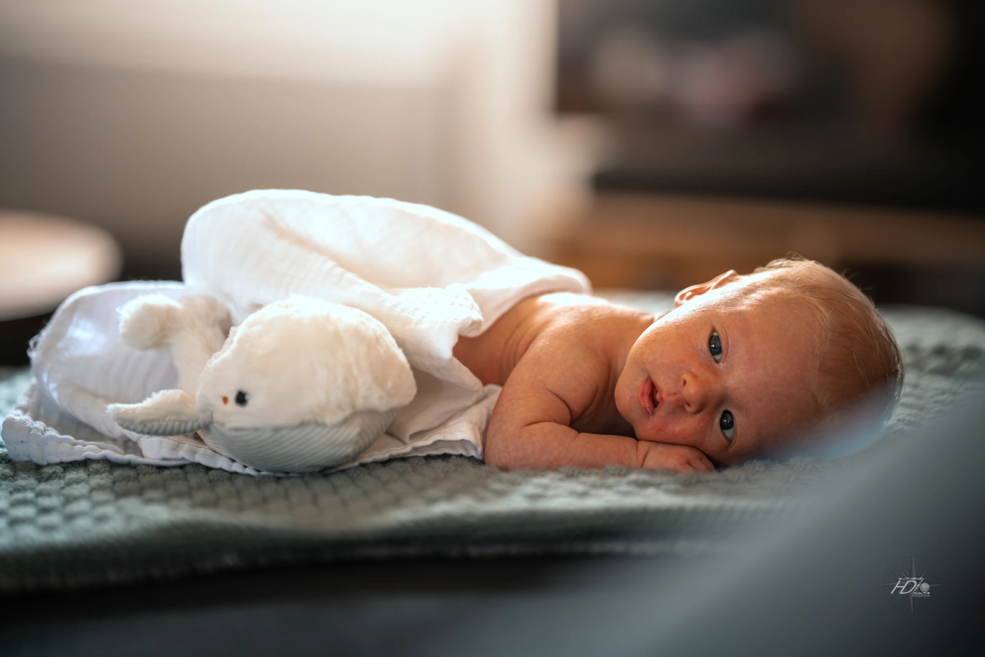 Portrait d'un bébé lors d'un shooting naissance à Tarbes immortalisé par leur photographe naissance.