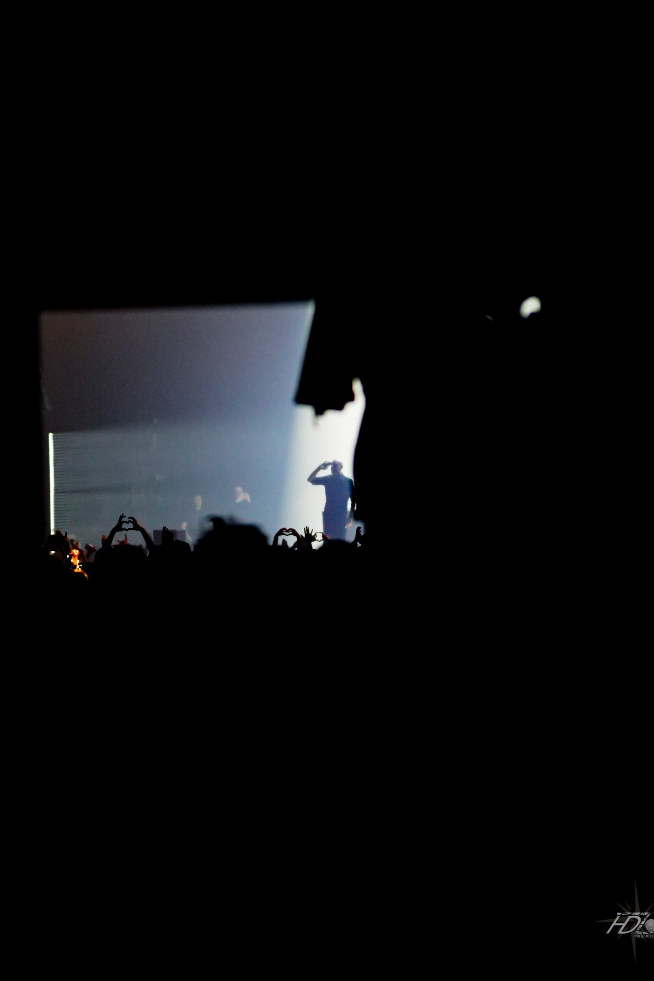 photo reportage dans un concert de musique à Bordeaux immortalisé par un photographe.